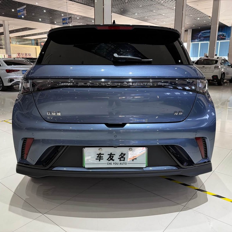 Dolphin 2025 520km Knight Edition Dolphin 2025 520km Knight Edition
