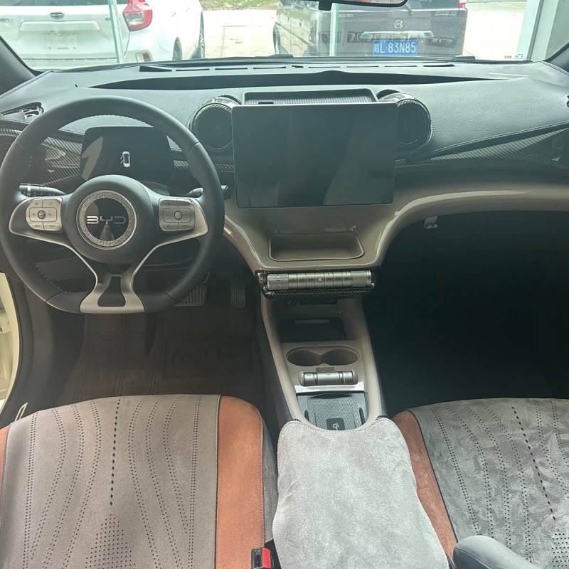 Dolphin 2025 420km Fashion Edition Dolphin 2025 420km Fashion Edition