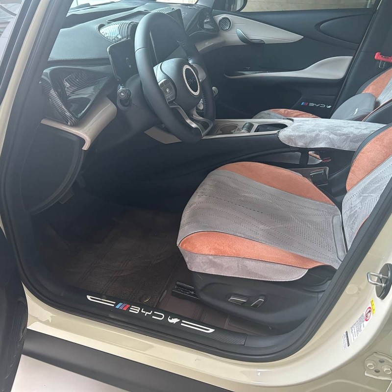 Dolphin 2025 420km Fashion Edition Dolphin 2025 420km Fashion Edition