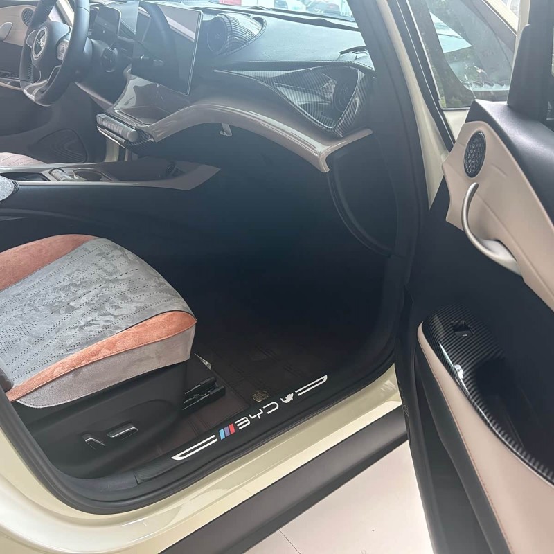 Dolphin 2025 420km Fashion Edition Dolphin 2025 420km Fashion Edition
