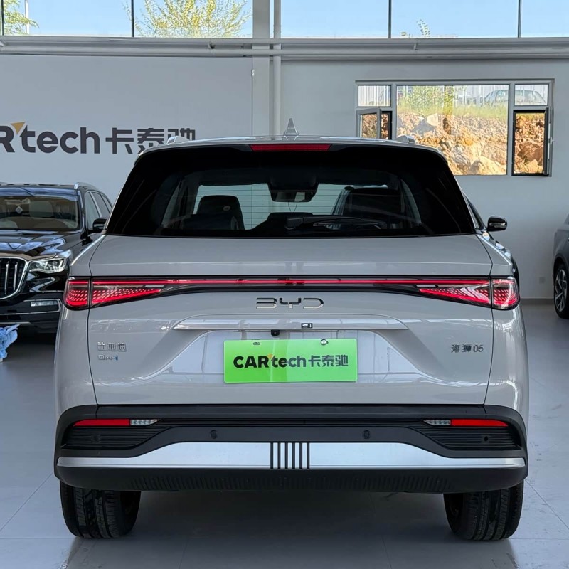 Sea Lion 05 DM-i 2025 DM-i 115KM Flagship Model Sea Lion 05 DM-i 2025 DM-i 115KM Flagship Model