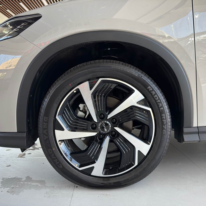 Sea Lion 05 DM-i 2025 DM-i 115KM Flagship Model Sea Lion 05 DM-i 2025 DM-i 115KM Flagship Model