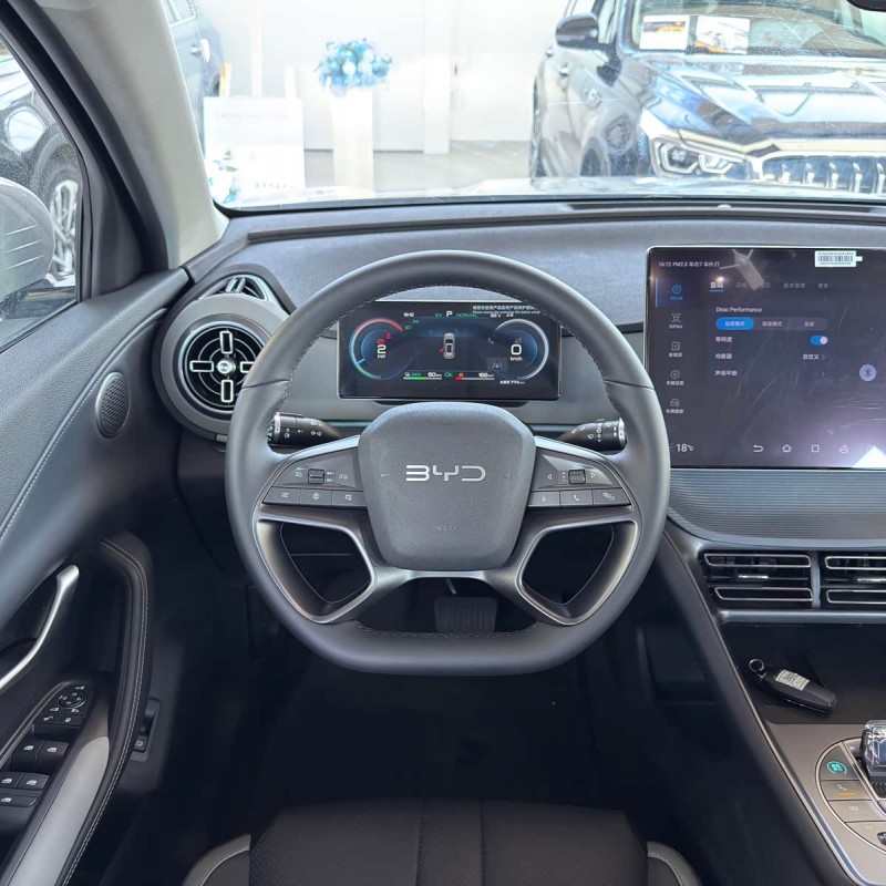 Sea Lion 05 DM-i 2025 DM-i 115KM Flagship Model Sea Lion 05 DM-i 2025 DM-i 115KM Flagship Model