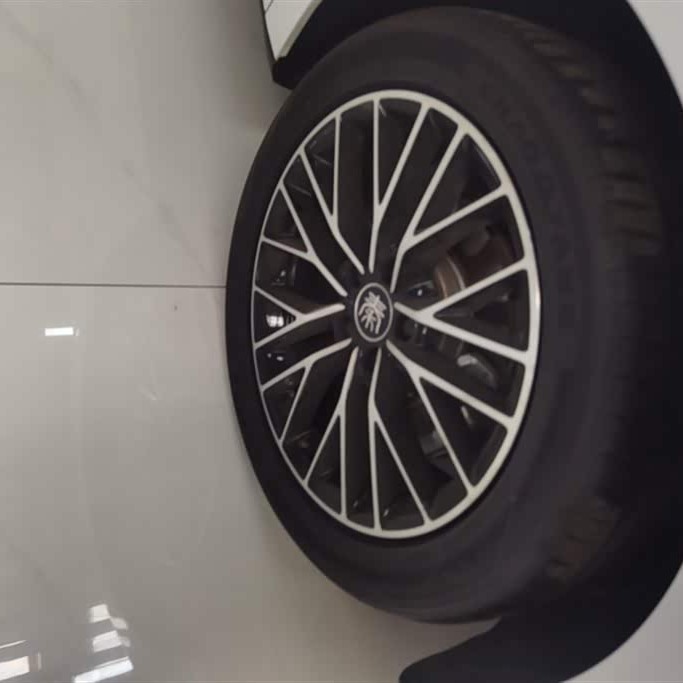 Qin L 2024 DM-i 120KM Beyond Edition Qin L 2024 DM-i 120KM Beyond Edition