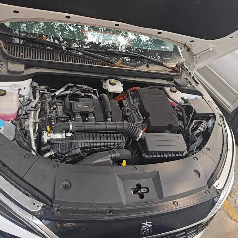 Qin L 2024 DM-i 120KM Beyond Edition Qin L 2024 DM-i 120KM Beyond Edition