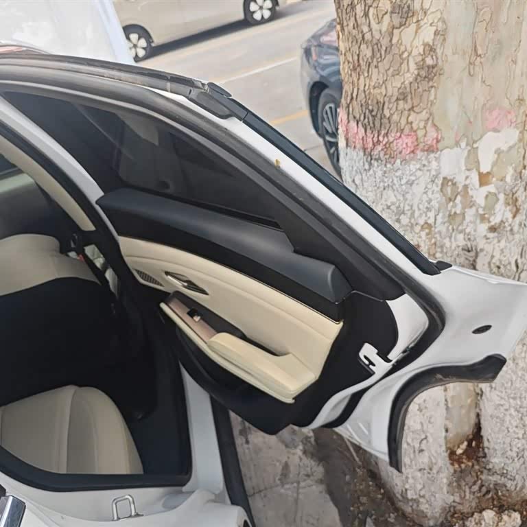 Qin L 2024 DM-i 120KM Beyond Edition Qin L 2024 DM-i 120KM Beyond Edition