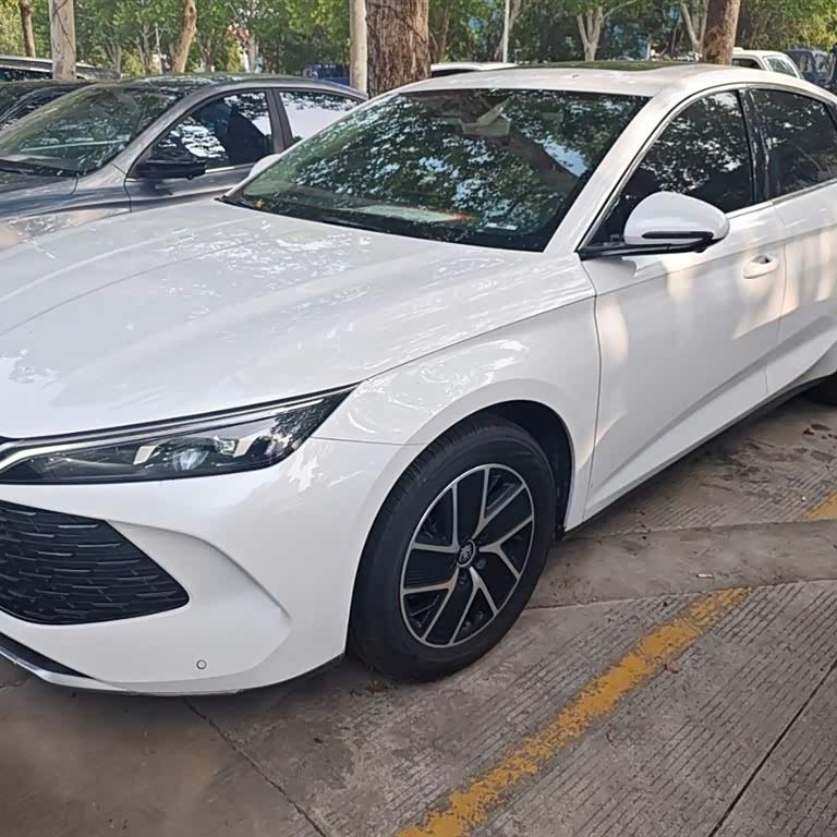 Qin L 2024 DM-i 120KM Beyond Edition