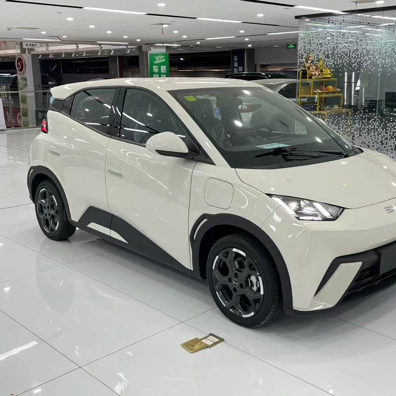 Seagull 2025 305km Freedom Edition Seagull 2025 305km Freedom Edition