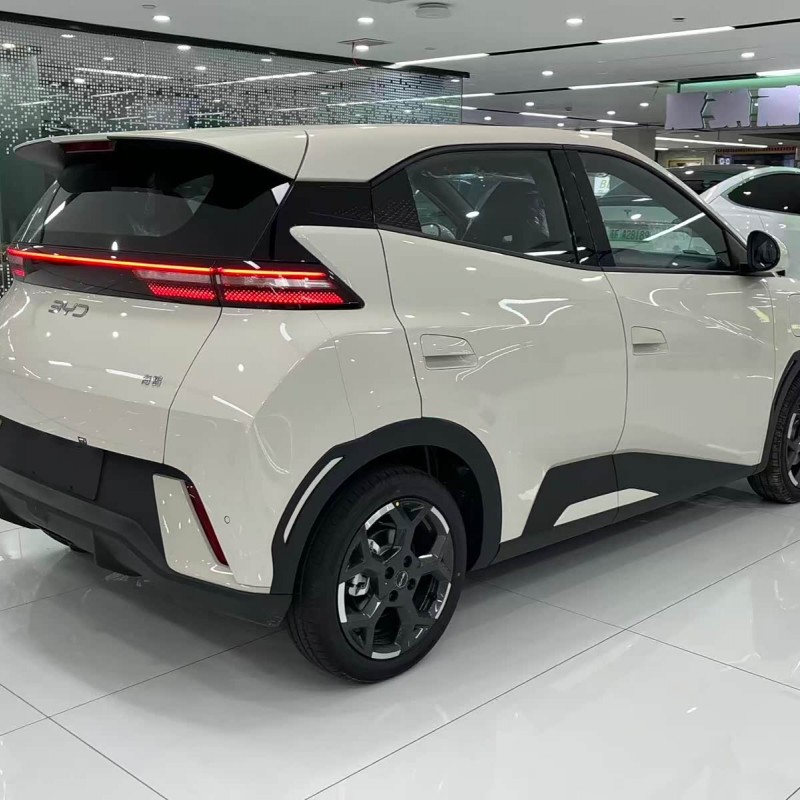 Seagull 2025 305km Freedom Edition Seagull 2025 305km Freedom Edition