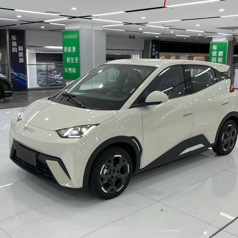 Seagull 2025 305km Freedom Edition Seagull 2025 305km Freedom Edition