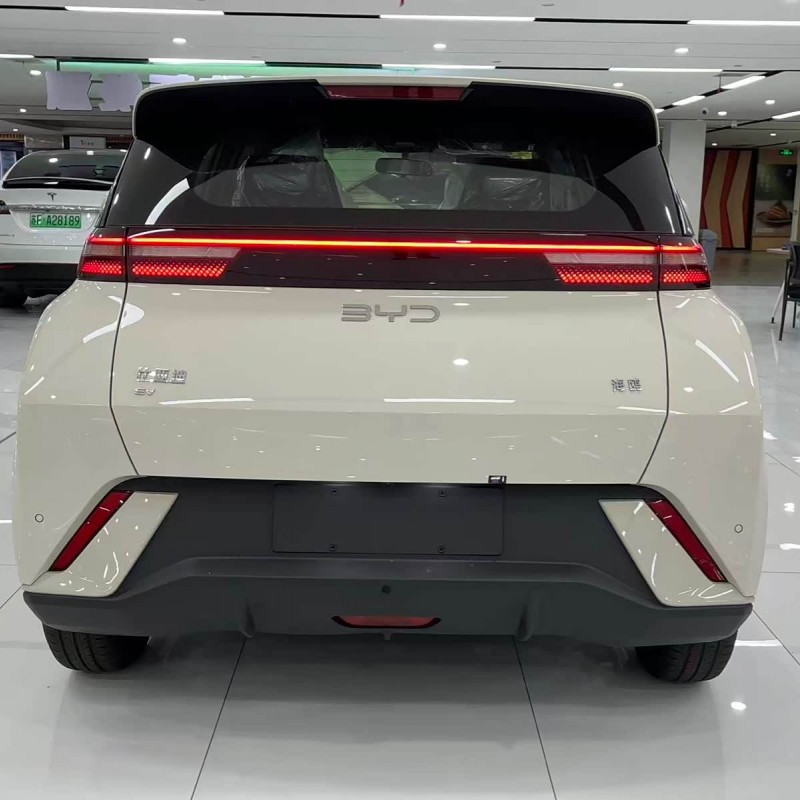 Seagull 2025 305km Freedom Edition Seagull 2025 305km Freedom Edition