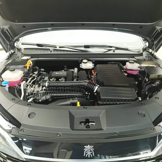 Qin L 2024 DM-i 80KM Leading Edition Qin L 2024 DM-i 80KM Leading Edition
