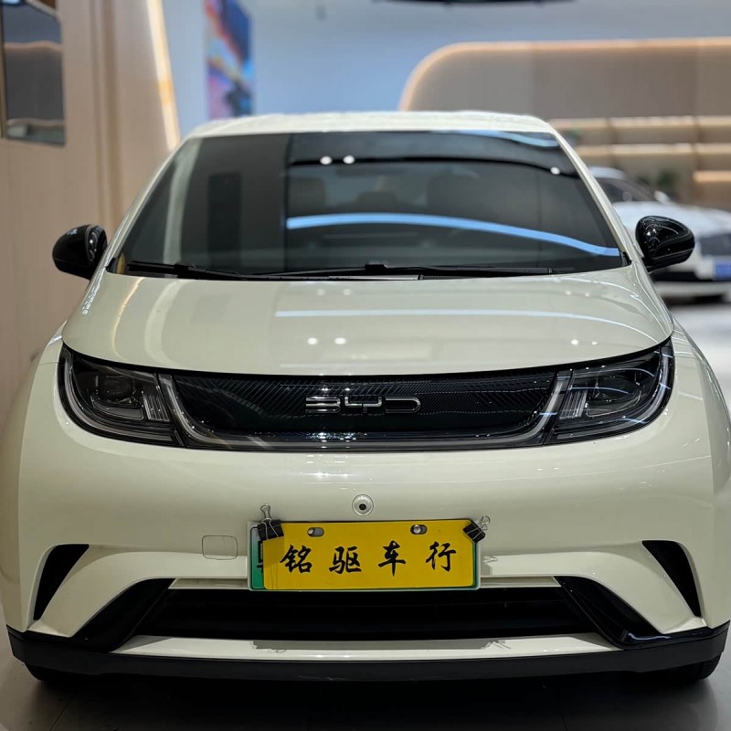 Dolphin 2023 420km Freedom Edition Dolphin 2023 420km Freedom Edition