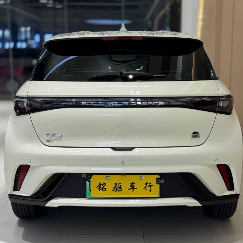 Dolphin 2023 420km Freedom Edition Dolphin 2023 420km Freedom Edition