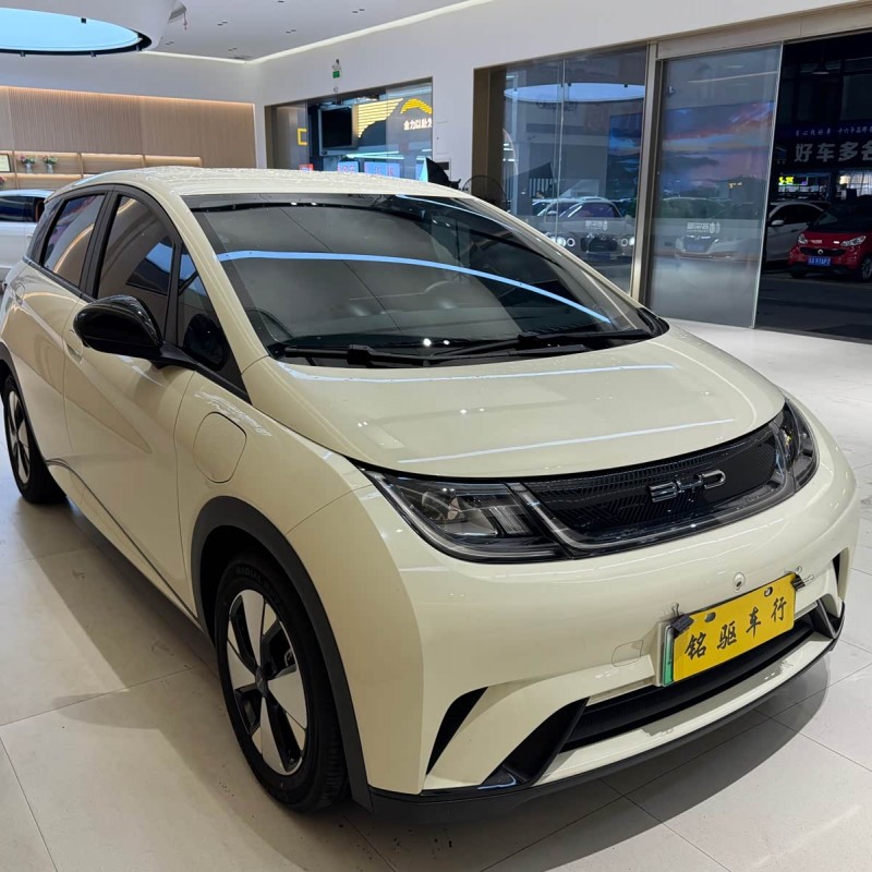 Dolphin 2023 420km Freedom Edition Dolphin 2023 420km Freedom Edition