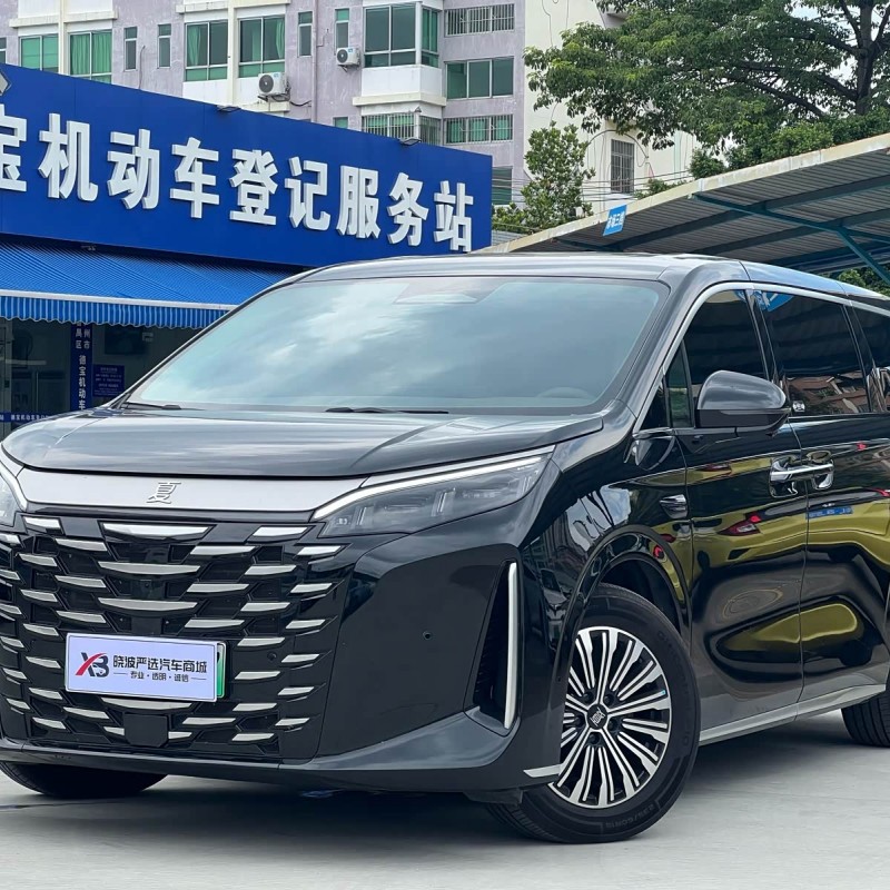 2025 DM-i 1.5T 100km Super Edition 2025 DM-i 1.5T 100km Super Edition