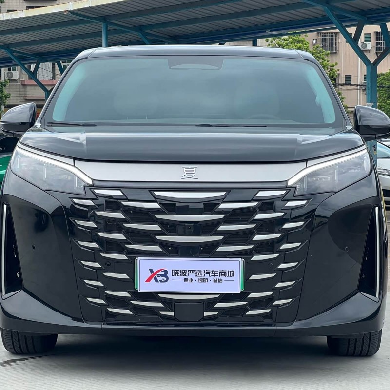 2025 DM-i 1.5T 100km Super Edition 2025 DM-i 1.5T 100km Super Edition