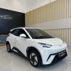 Seagull 2025 305km Freedom Edition
