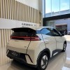 Seagull 2025 305km Freedom Edition