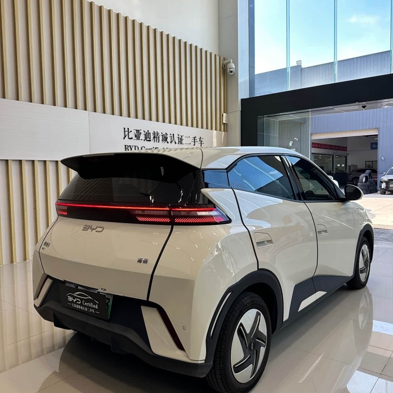 Seagull 2025 305km Freedom Edition Seagull 2025 305km Freedom Edition