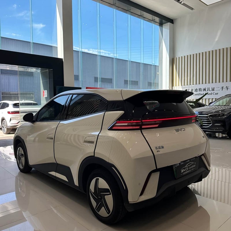 Seagull 2025 305km Freedom Edition Seagull 2025 305km Freedom Edition