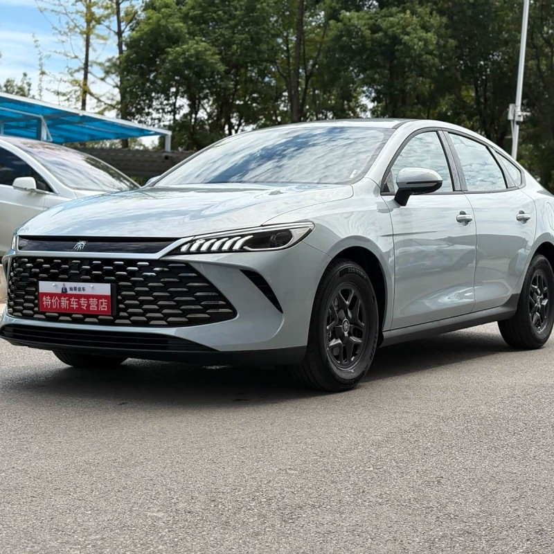Qin PLUS 2025 DM-i Intelligent Driving Edition 55KM Leading Edition