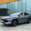 Song L DM-i 2025 Smart Driving Edition 160km Beyond Edition Song L DM-i 2025 Smart Driving Edition 160km Beyond Edition
