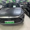 Qin PLUS 2023 Champion Edition DM-i 55KM Beyond Edition