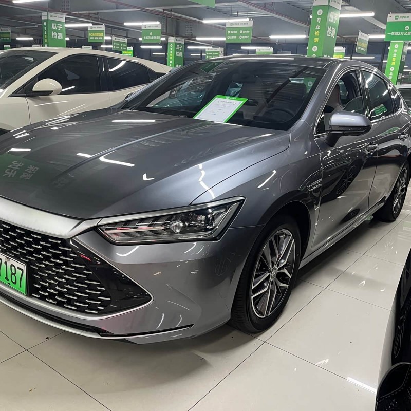 Qin PLUS 2023 Champion Edition DM-i 55KM Beyond Edition