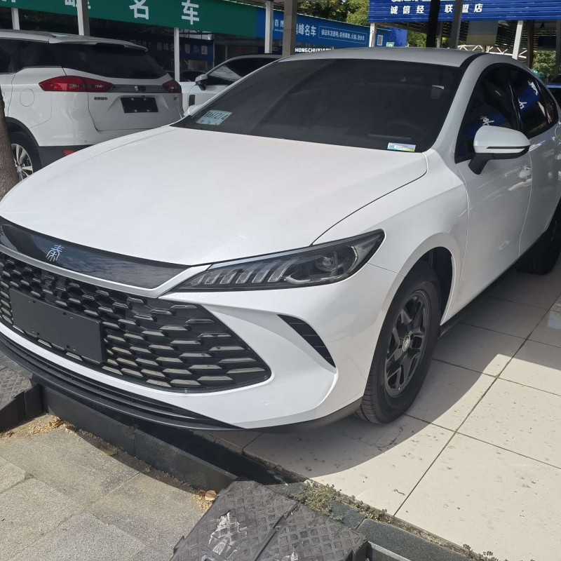 Qin PLUS 2025 DM-i Intelligent Driving Edition 55KM Leading Edition