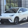 Seagull 2023 Freedom Edition Seagull 2023 Freedom Edition