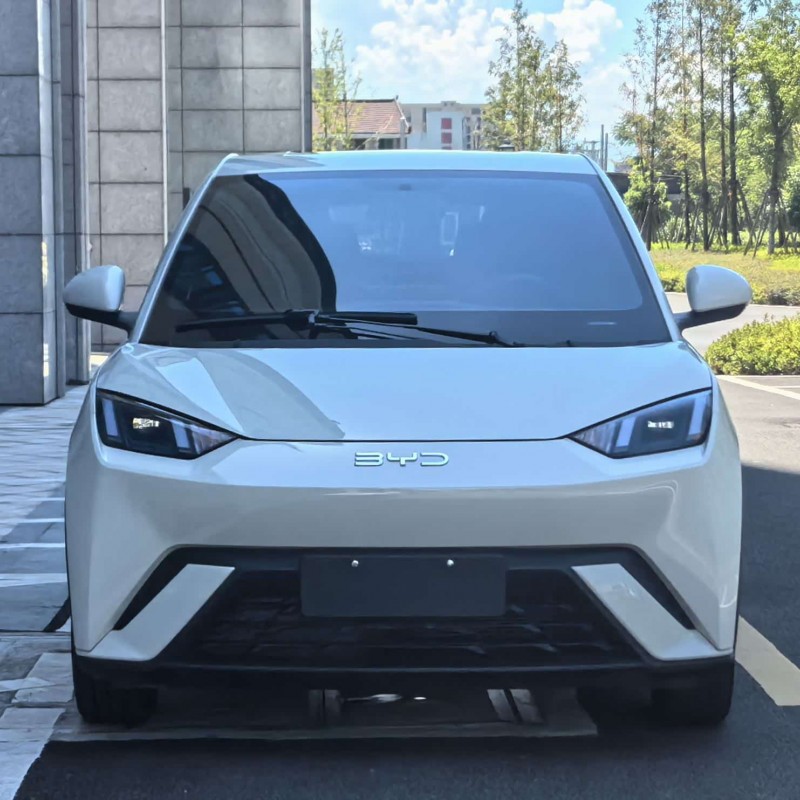 Seagull 2023 Freedom Edition Seagull 2023 Freedom Edition