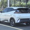 Seagull 2023 Freedom Edition Seagull 2023 Freedom Edition
