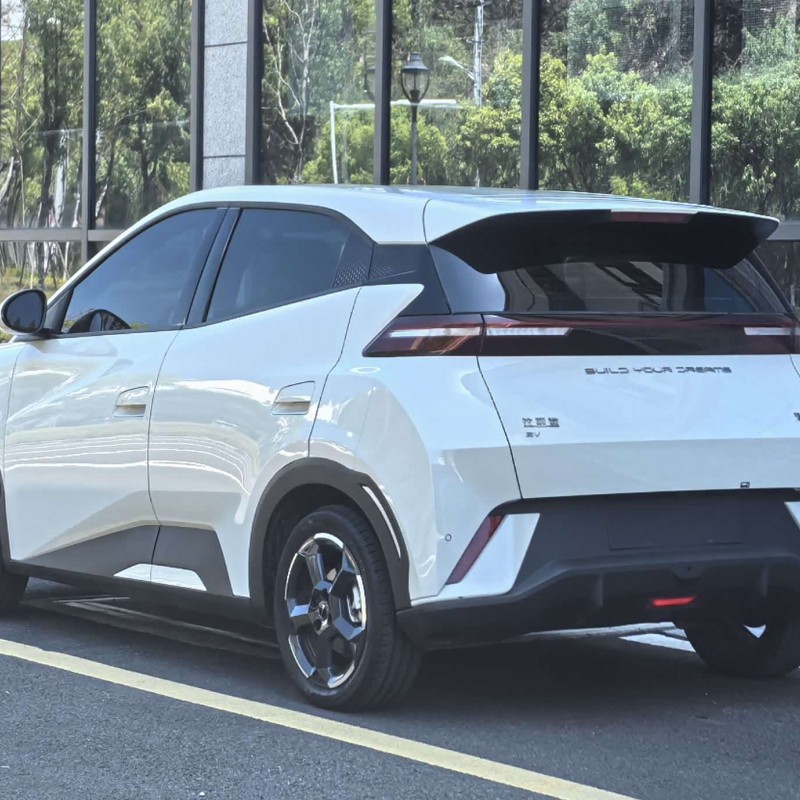 Seagull 2023 Freedom Edition Seagull 2023 Freedom Edition